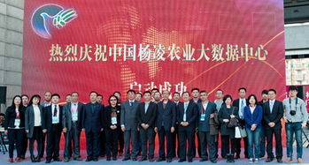北京電子信息職業(yè)教育集團 打造產(chǎn)教融合新生態(tài)，賦能教育信息服務(wù)升級